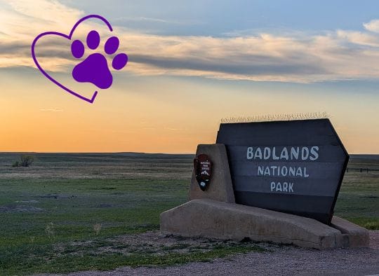 Dog-friendly Badlands National Park sign at sunset with a paw print and heart in the corner of the photo