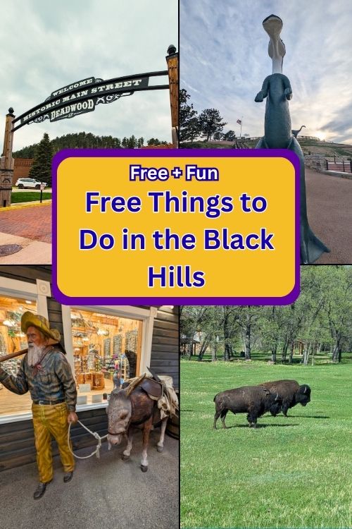 Free + Fun Free things to do in the Black Hills pin