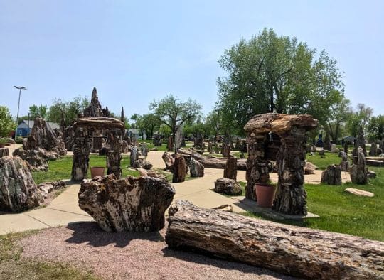 Petrified Wood Park