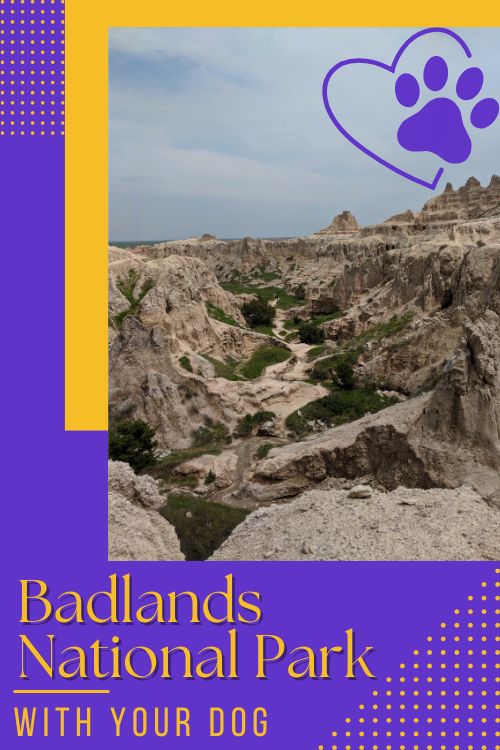 Pin for Traveling with Your Dogs in Badlands National Park