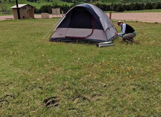 Setting up a tent next to bison foot prints in Dog-friendly Badlands National Park