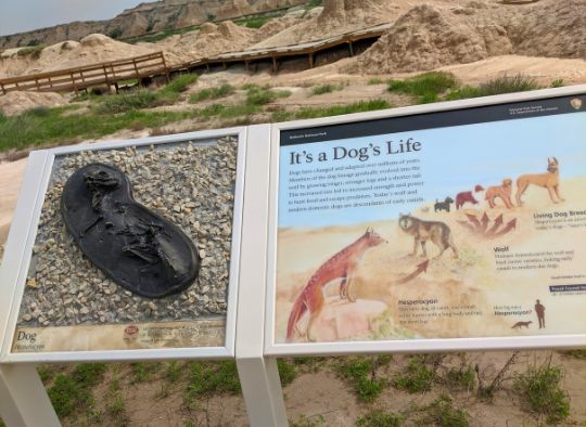 Sign with the Fossil Trail in the background