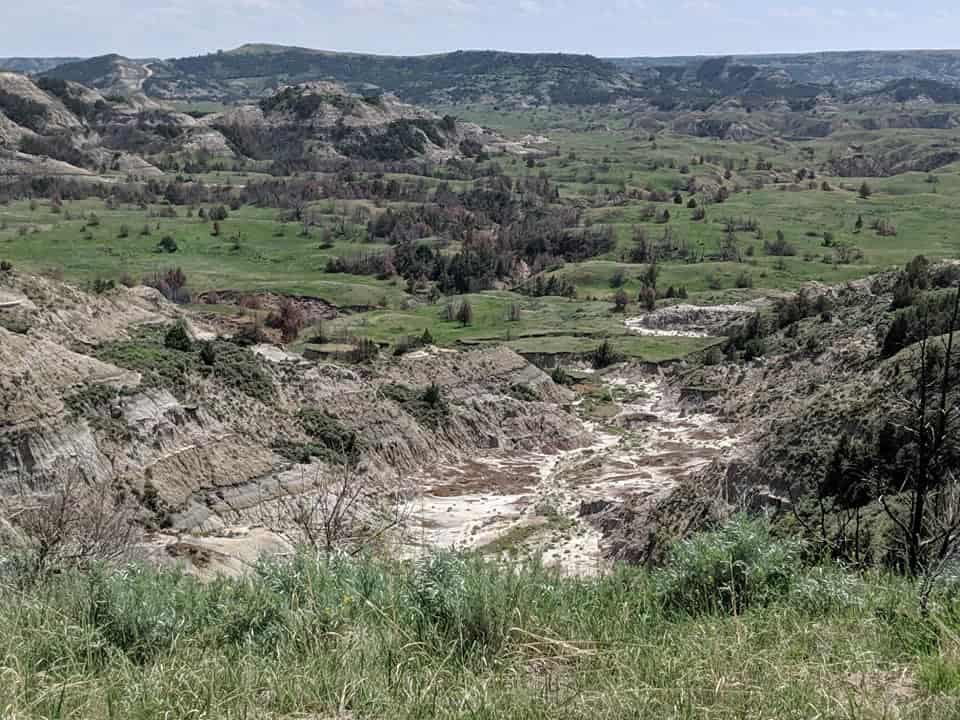 View taken from Boicourt Traill in Theodore Roosevelt National Park. There is green grass where the ground is flat with trees dispersed throughout. In the middle of the frame there is a group of trees clumped together. And you can see numerous large hills made up of rocks that have rings of colors (in greys, yellows, reds, and whites). There are more trees spread along these hills.