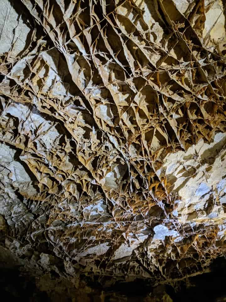 Close-up of the box work cave formations that Wind Cave is famous for.