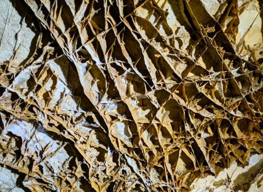 Boxwork in Wind Cave