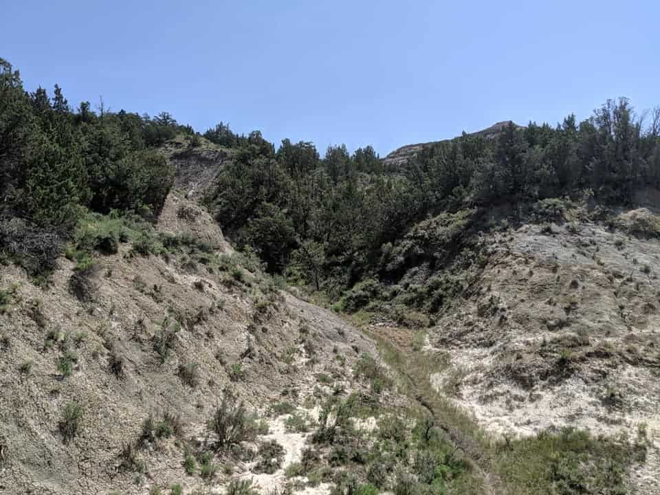 View of a coal vein running through the middle of the frame from bottom to top. The coal vein is dark grey in color and runs between the base of two large hills made mostly of lighter grey stone. The hills do have trees on the top of the hills and small tufts of green grass/small bushes on the sides.