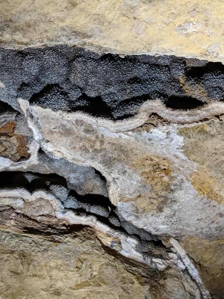 Close up view of an interesting cave formation in Jewel Cave. There are two fissures side by side. Inside the fissures are tiny black 'dots' for lack of a better term.