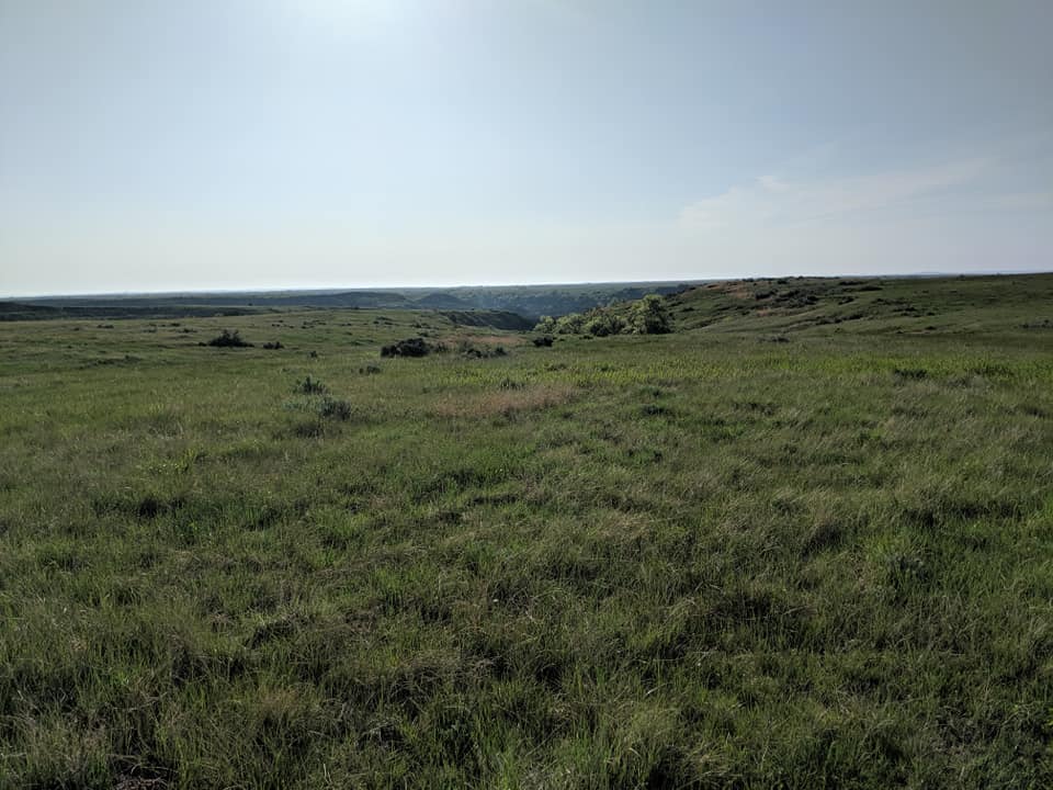 Flat prairie as far as the eye can see at the start of the Petrified Forest Trail in Theodore Roosevelt NP.