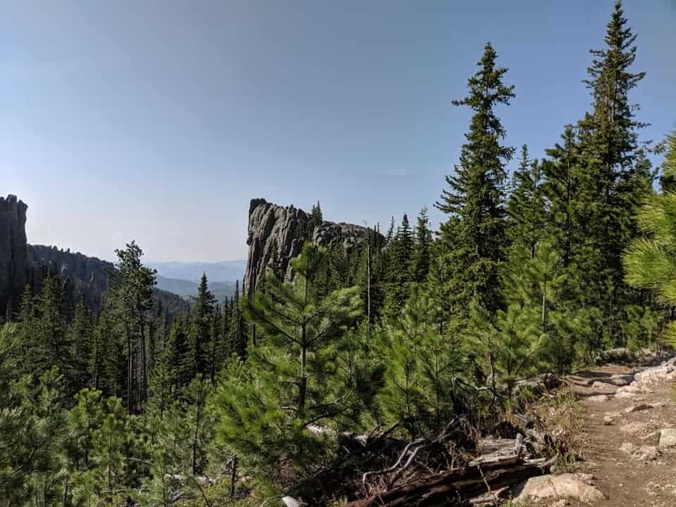 View in Custer State Park during a hike on Black Elk Peak Trail. There is a dirt path on the right. To the left of the path are many trees on a decent down the side of  a mountain. There are more mountains in the distance.