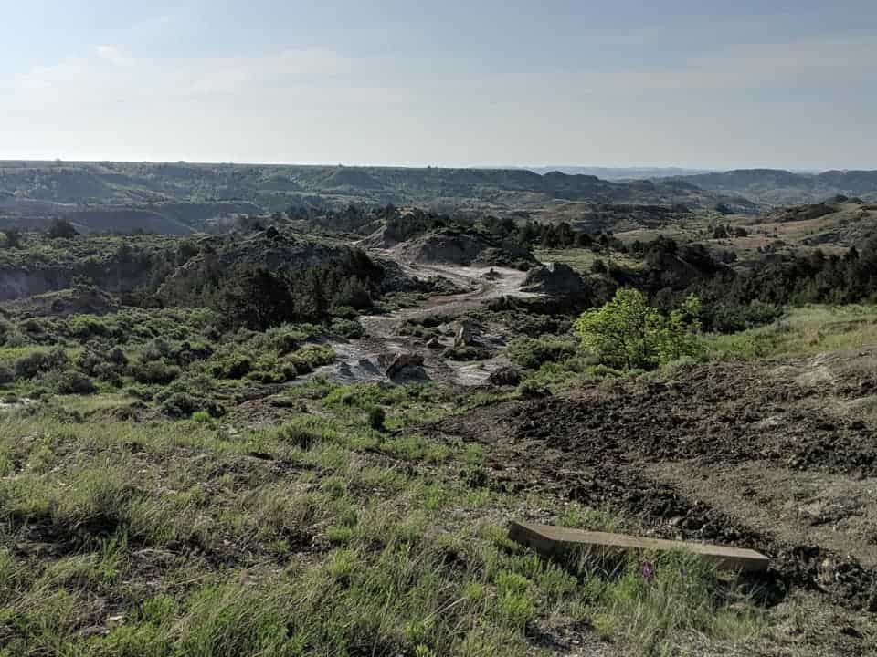 Scenery photo of the Petrified Forest North Trail in Theodore Roosevelt National Park. You can see hills and mountains in the distance. There are tall grasses (green and brown) and the bushes and trees further away from the viewer. Midway in the distance appears to be a path that is gray/white in color that weaves through the base of the hills. It fades up in the distance going up the middle of the frame.