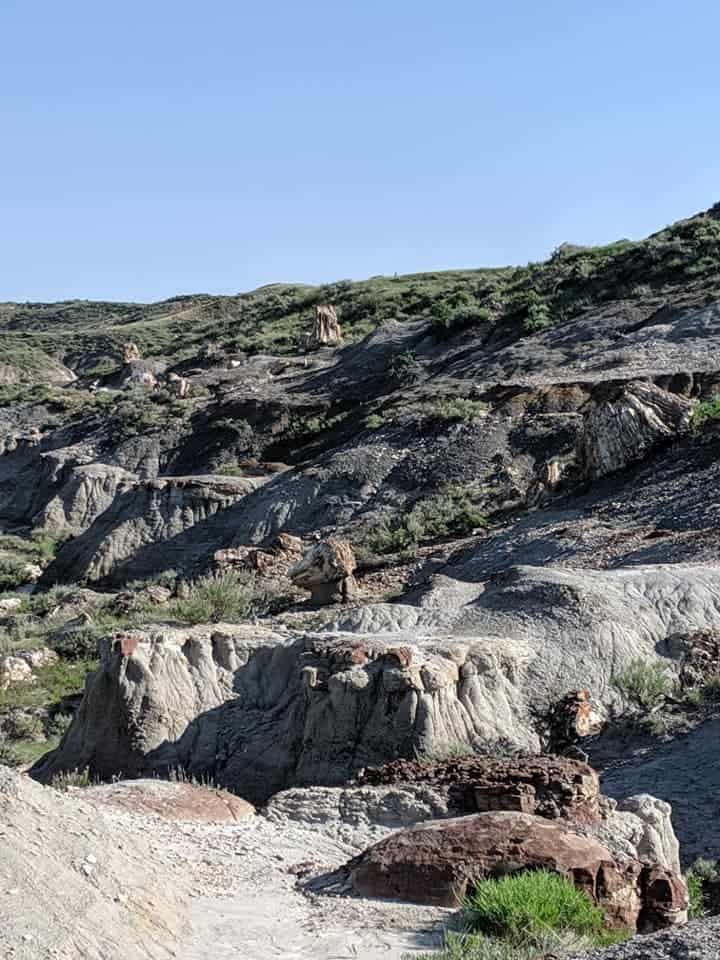 View off into the distance where you can see trees and grass spread amongst large flat topped rocks that come out from the sides of the hills. Rocks are grey, white, and red in color.