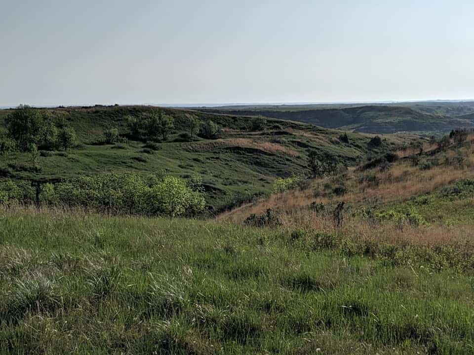 Prairie scene with rolling hills. You can see trees sporadically on the hills and some patches of the prairie are brown instead of green like most of the grasses.