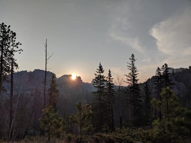 Trees are spaced out in the foreground. There are mountains in the distance. The sun is just starting to rise over the mountain.