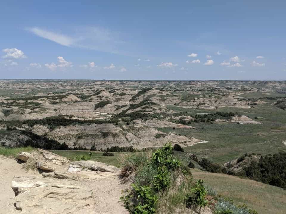 View off the edge of Buck Hill in Theodore Roosevelt National Park. there is green grass where the ground is flat. And you can see numerous large hills made up of rocks that have rings of colors (in greys, yellows, reds, and whites). The top of the hills are usually more flat with dark green trees on them.