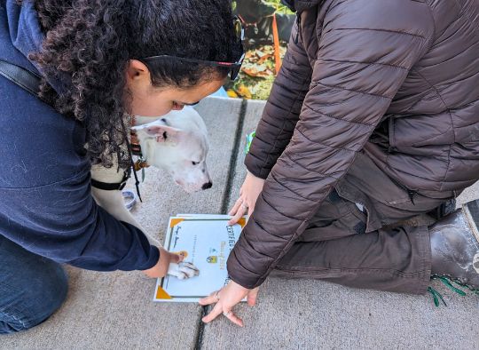 dog signing with paw print on BARK ranger certificate