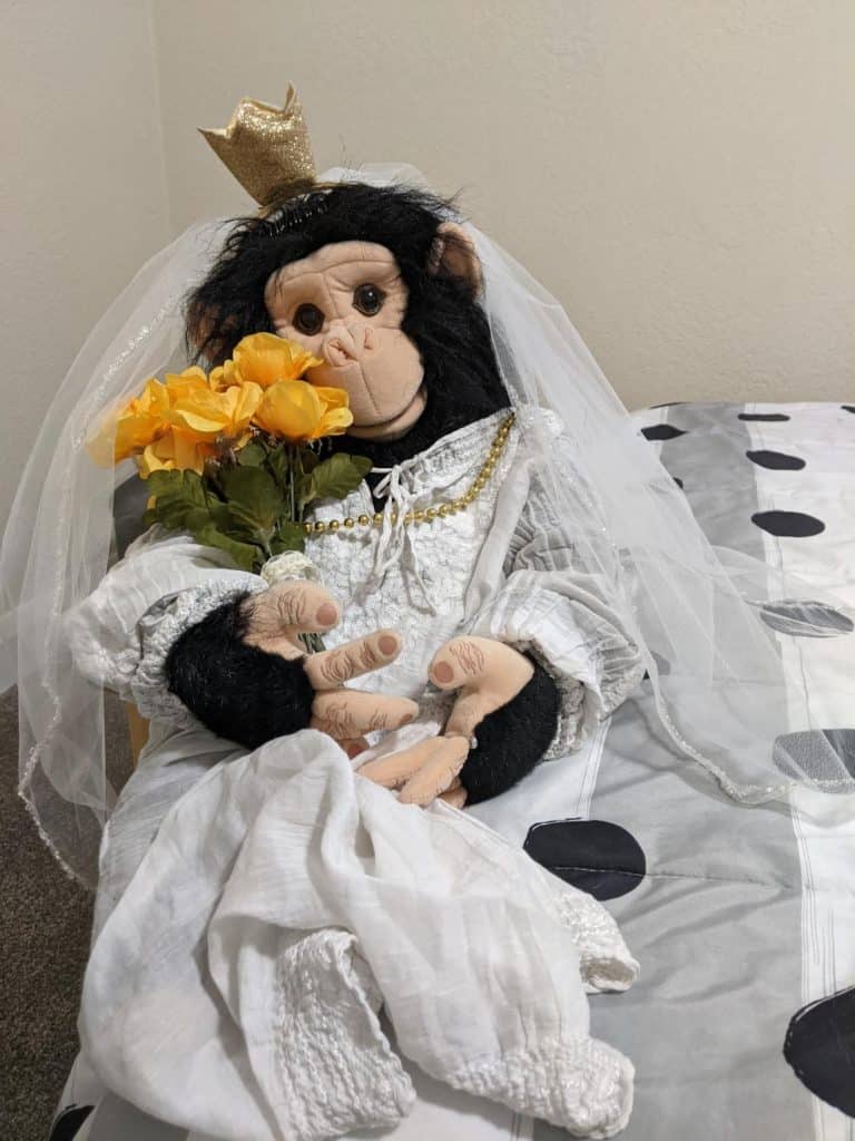 Ape puppet dressing as a bride