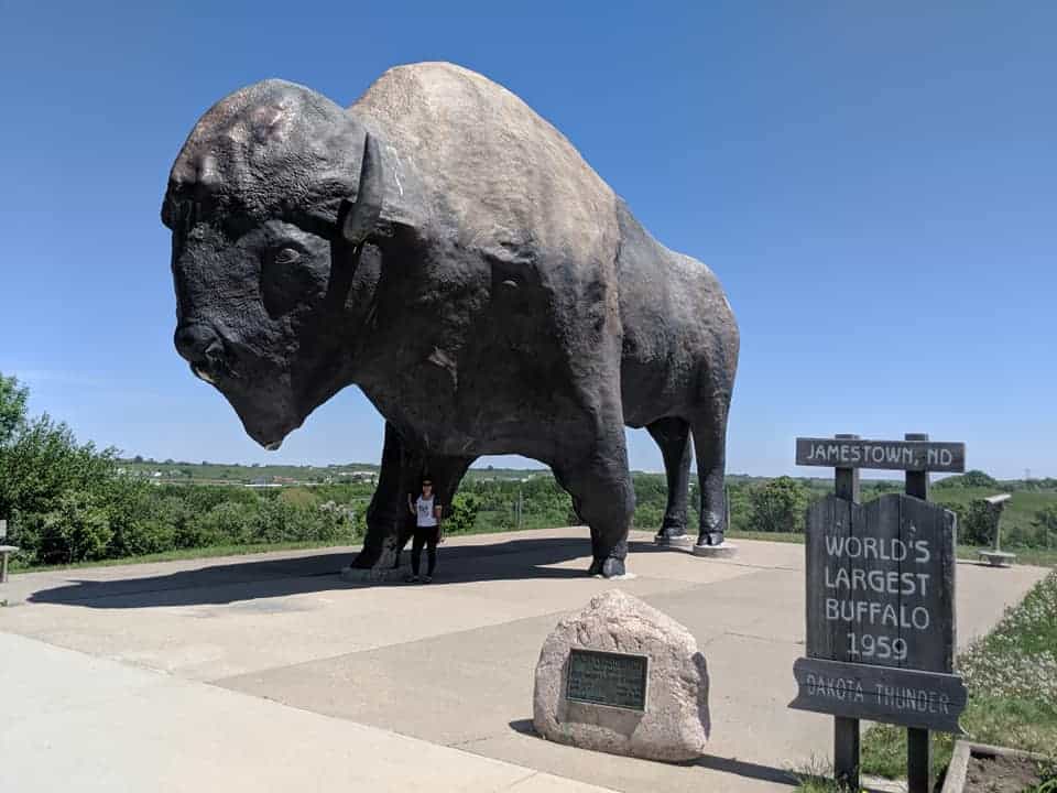 The World's Largest Buffalo statue on pavement. There is a woman standing in front of the right, front leg of statue. Statue is black. There is a green grass and bushes around the the pavement. There is sign close to the photographer that says "Jamestown, MD  World's Largest Buffalo 1959".