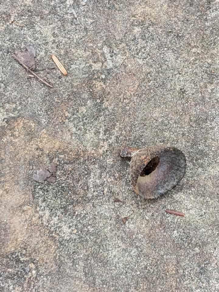 The top part of an acorn laying on a gravel path in Cumberland State Park on the way from Pinnacle Knob Fire Tower