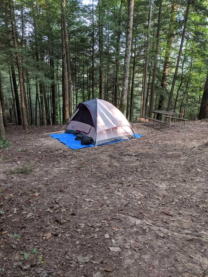 A grey simple 4 person tent set up in  a clearing located in Cumberland State Park in Kentucky. There is a line of trees in the background with a picnic table to the right, rear of the tent.