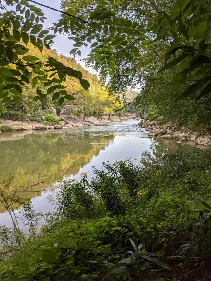 View of a river with large boulders on each side of it located in Cumberland State Park. The view of the river is framed by trees and green tall grasses.