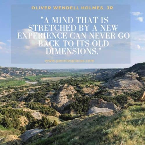 Quote: "A mind that is stretched by a new experience can never go back to its old dimensions" Background is a landscape view of Theodore Roosevelt National Park