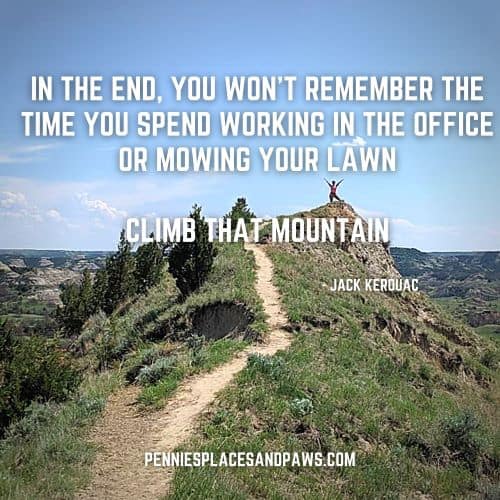 Quotes: "In the end, you won't remember the time you spend working in the office or mowing your lawn. Climb that mountain" Background is a woman with her arms raised on the top of a peak.