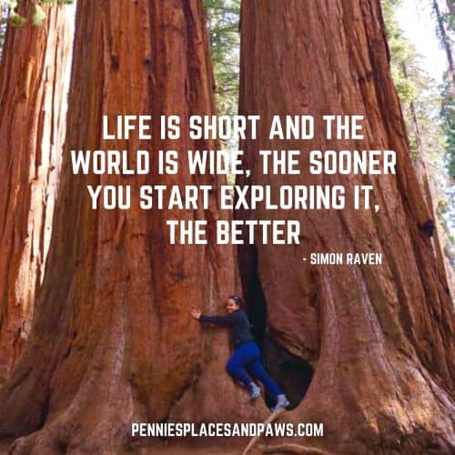 Quote: "Life is short and the world is wide, the sooner you start exploring it, the better" Background is a woman hugging a large Sequoia tree