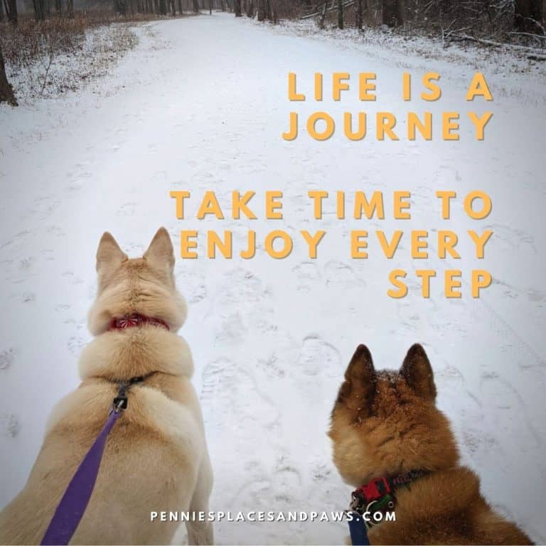 Motivational Quotes to Inspire You