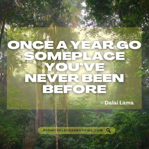 quote "Once a year go someplace you've never been before". The background is of a forest. 