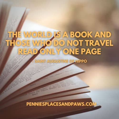 Quote "The world is a book and those who do not travel read only one page" Background is an open book.