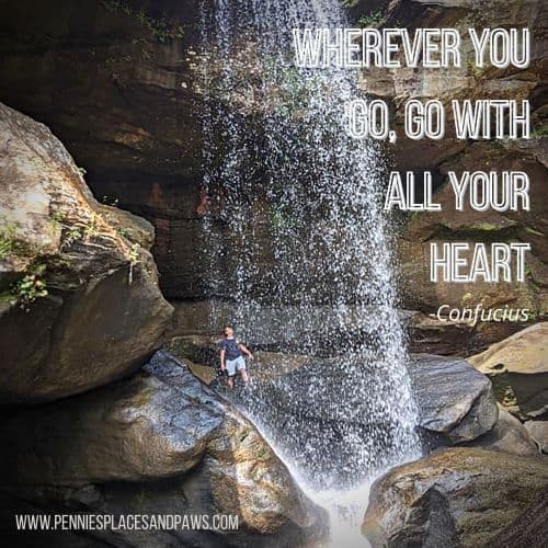 Quote "Wherever you go, go with all your heart". Background is a man standing on rocks behind  a waterfall.