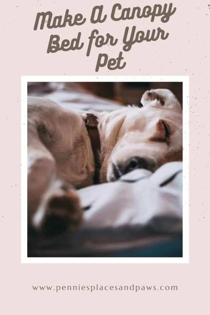 Pre-made pin for use on Pinterest for How to Make a Canopy Bed for Your Dog post