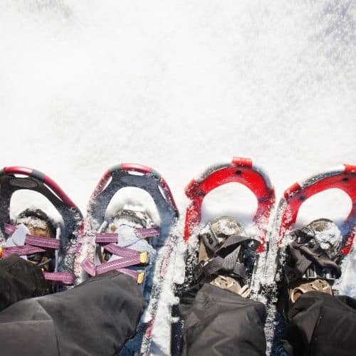 Photo of the feet of two people wearing snowshoes