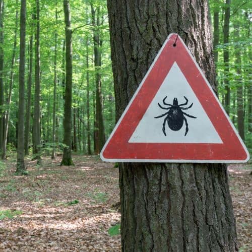 Tick warning sign on a tree in the woods