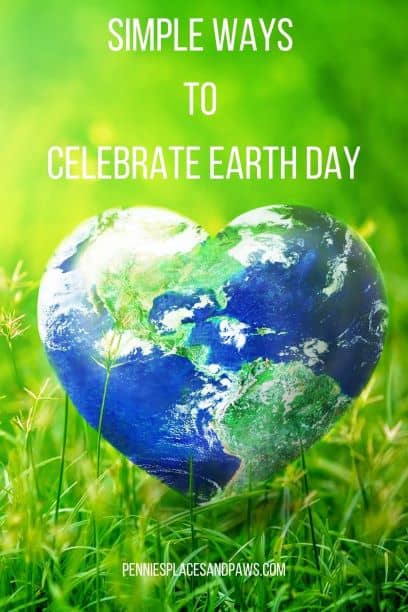 Pre made pin for use on Pinterest for Actionable Ways to Celebrate Earth Day post