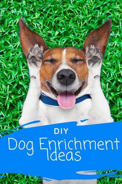 Pre-made pin for Pinterest for the DIY Dog Enrichment Ideas post