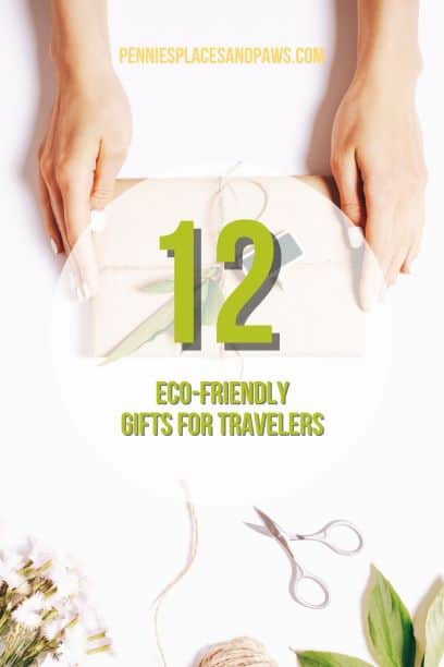 Pre-made pin for Pinterest for the 'Gifts for the Eco-friendly Travelers' post