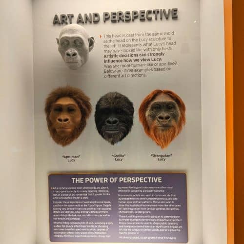 Display discussing the artists influence on what 'Lucy' is depicted as
