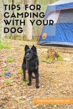 Tips for Camping with a Dog | Pennies, Places, and Paws