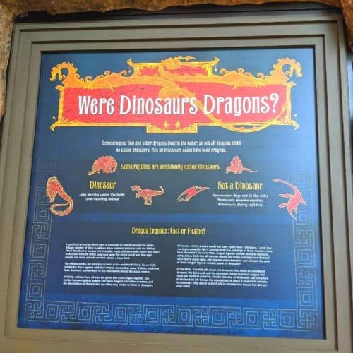 Signage that talks about Dinosaurs possible being the root of Dragon stories