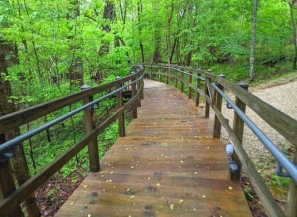 Wood plank bridge that leads through the woods.