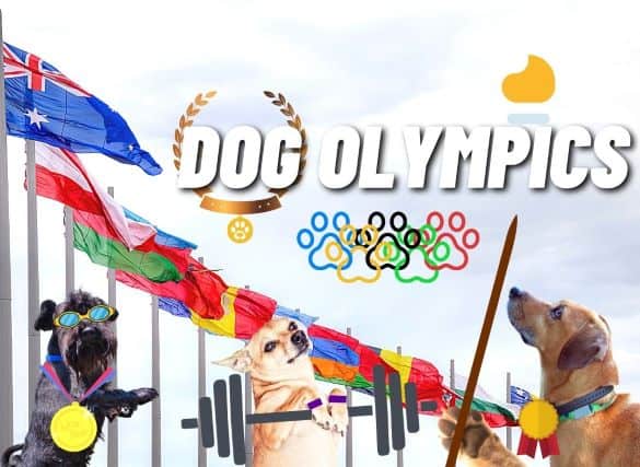 Olympic rings in paw print shapes, A row of flags from different countries and a dog wearing swim goggles, a dog lifting a dumbbell, and a dog with a jousting stick