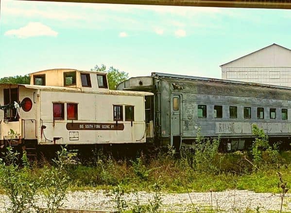An old decommissioned train and train cars. They are rusty and overgrown with plants