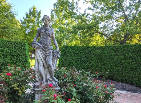 A statue of a woman surrounded by red roses. There is a hedge in the background