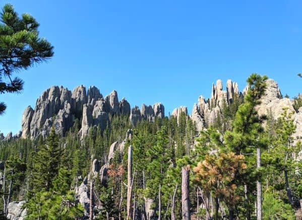 The Needles (several mountain peaks) in Custer State Park