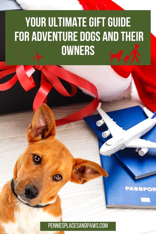 Your ultimate Gift Guide
 For Adventure Dogs and Their Owners