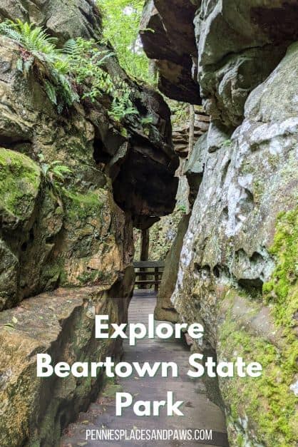 Explore Beartown State Park pin