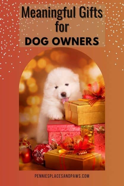 Pre-made pin for Pinterest for "Meaningful gifts for Dog owners" pin