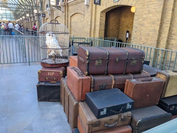 White Owl sitting on top of a pile of luggage at Hogsmeade Station