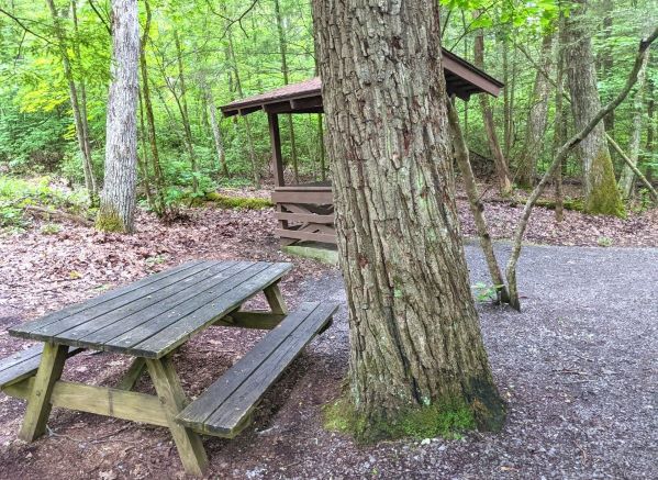 Picnic table at Beartown State Park. There is an overhang for shelter in the background